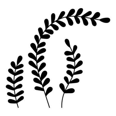 Black and white plant. Decor for greeting cards, scrapbooking and other design. Illustration for decoration.のイラスト素材