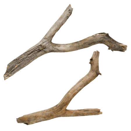 Wooden sticks isolated on white background. Items for mock up, scene creator and other design.の写真素材