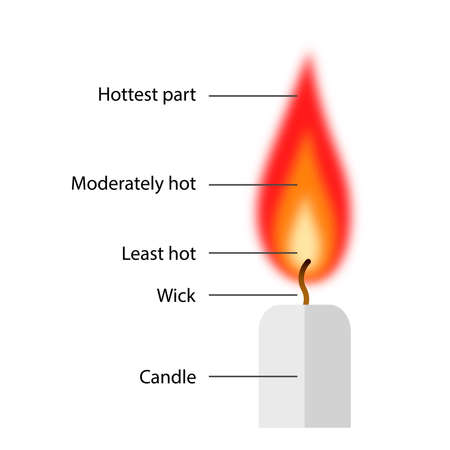 Structure of the candle flame. Infographic, labelled diagramのイラスト素材