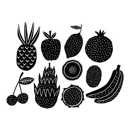 Black and white fruits in boho style. Linocut isolated.のイラスト素材