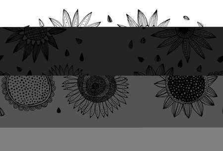 sunflower and seeds. Black and white illustration isolated.のイラスト素材