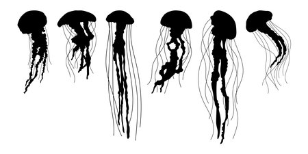 Jellyfish stencil templates for cutting and printingのイラスト素材