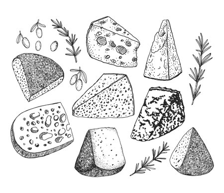 Cheeses olives rosemary vector hand drawn illustrationのイラスト素材