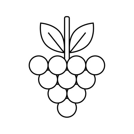Grapes flat line icon editable stroke isolated objectのイラスト素材