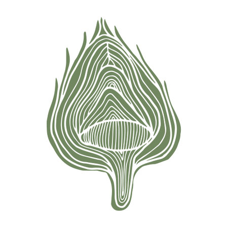 Sliced artichoke colored silhouette hand drawn vector clipartのイラスト素材