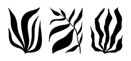 Tropical leaves silhouettes stencil templates for packaging cosmetics products interior elements web graphics environmental friendlinessのイラスト素材