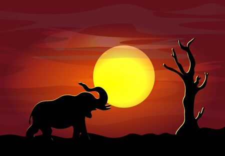African safari theme with elephant against the background of a big moon in a beautiful place, vector illustration. Can be used for travel or safari banner, poster design, desktop.のイラスト素材