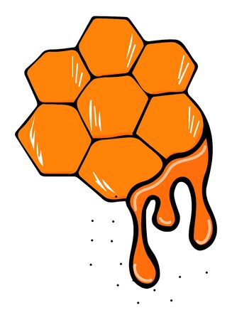 Drop of honey and honeycombs colored and isolated on a white background. Hand drawn stock illustration. Vector illustration for badge, logo, sticker, print.のイラスト素材