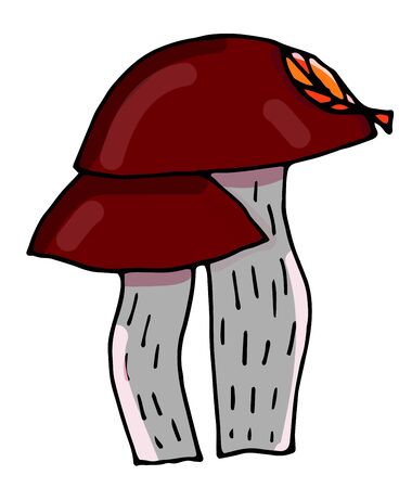 Colorful and fabulous mushrooms, boletus. Hand-drawn illustration.のイラスト素材