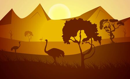 Silhouette. African ostriches birds in the savannah in the grass with trees on a background of sunset and mountains. Wildlife of Africa. Realistic vector landscape. Can be used for travel or banners.のイラスト素材