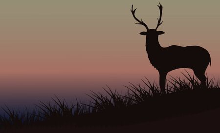 Silhouette of a deer in the grass against a background of a beautiful foggy sky. Beautiful morning landscape. Can be used for travel or banners, poster design, desktop.のイラスト素材