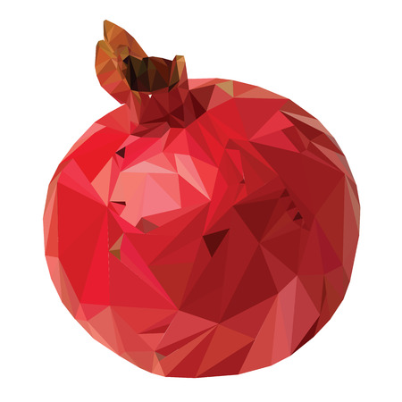 Fruit garnet triangulation vector illustration technique Low Polyのイラスト素材