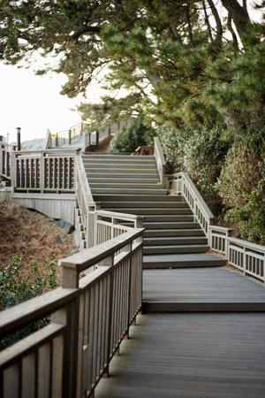 wooden stairs