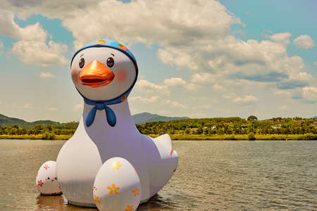 Floating on the water the mother duck and duck eggsの写真素材