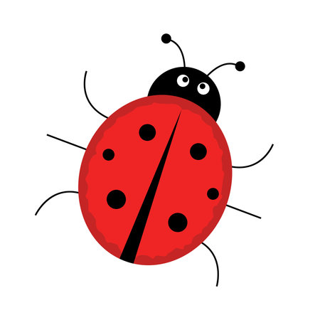 Ladybug on white background. wallpaper. symbol, vectorのイラスト素材