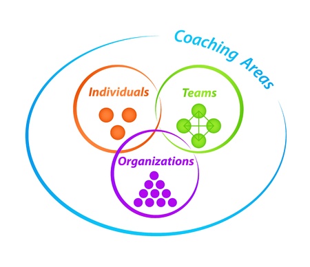 Coaching Areas Diagramのイラスト素材