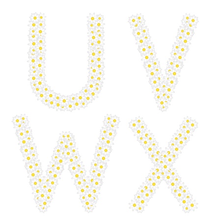 Letters UVWX composed from daisy flowers  Complete alphabet in the gallery のイラスト素材