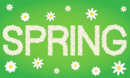 Spring tag composed from daisy flowersのイラスト素材