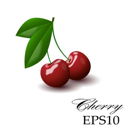 Red cherry on a white background, Realistic imageのイラスト素材
