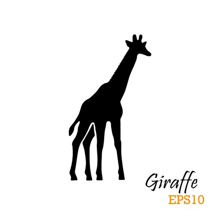 Silhouette of a giraffe. Vector illustration.のイラスト素材