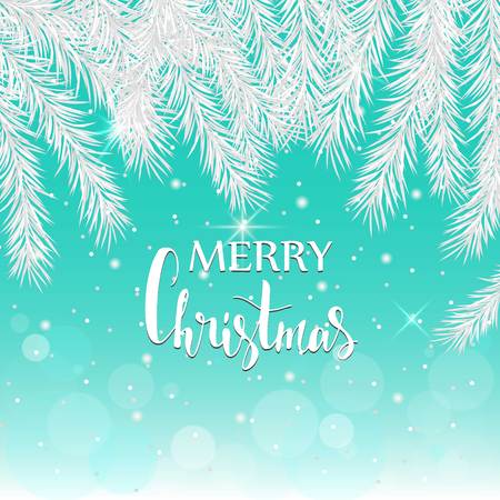 Silver spruce branches on a blue background. Christmas cardのイラスト素材