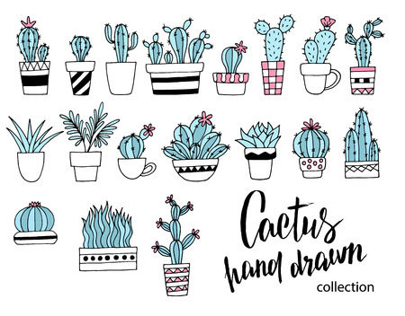 Cactus doodle set. Hand drawn vector illustration, sketch collection of house plants. Design elementsのイラスト素材