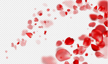 Falling Red rose petals on a transparent background.Vector illustrationのイラスト素材