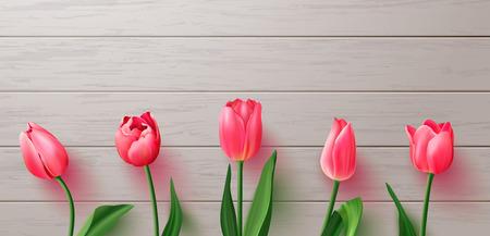 Beautiful realistic tulips on wooden background.Vector illustration for postcards,posters, coupons, promotional materialのイラスト素材