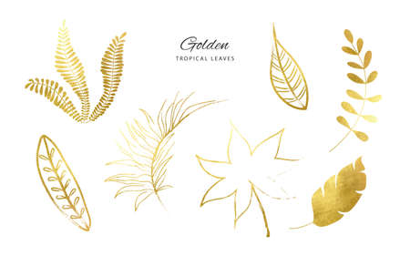 Set of Golden tropical leaves.Decoration elements for your design.Vector illustrationのイラスト素材