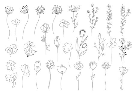 A floral set of hand-drawn black contour elements, a tree branch, a bush, a plant, tropical leaves, branches, petals, highlighted on a white background. Collection for design.Plants drawn in one line. Vector illustrationのイラスト素材