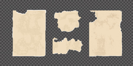 set of old torn paper isolated on a transparent background. Scraps of pages. Sheets with torn edges and scuffs. Vector illustrationのイラスト素材
