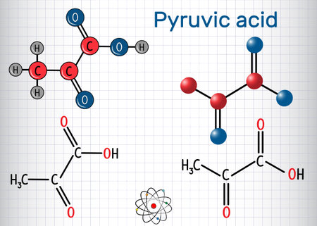 Pyruvic acid (pyruvate) molecule. It is the simplest of the alpha-keto acids. Structural chemical formula and molecule model. Sheet of paper in a cage. Vector illustration
