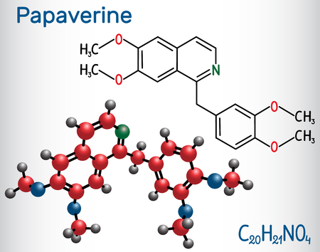 Papaverine molecule. It is opium alkaloid antispasmodic drug. Structural chemical formula and molecule model. Vector illustrationのイラスト素材
