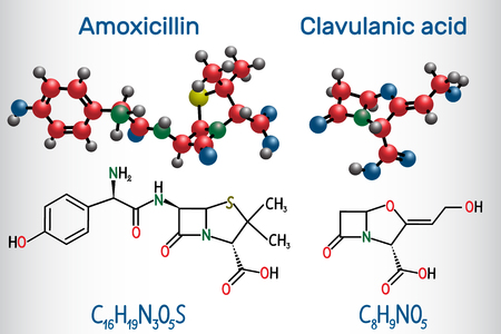 Amoxicillin and clavulanic acid drug molecule. Combination is an antibiotic useful for the treatment of a number of bacterial infections. Structural chemical formula and molecule model. Vector illustrationのイラスト素材