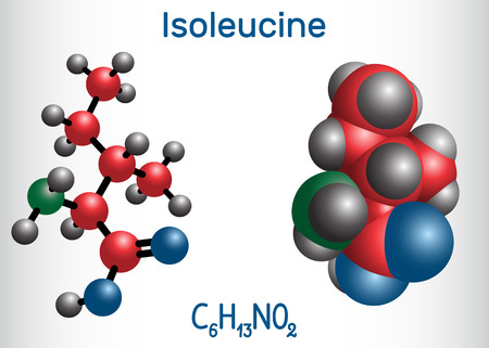 Isoleucine (L- isoleucine , Ile, I) amino acid molecule. It is used in the biosynthesis of proteins. Molecule model. Vector illustrationのイラスト素材