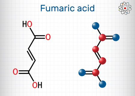 Fumaric acid, C4H4O4, molecule. It is unsaturated dicarboxylic acid, food additive E297. Structural chemical formula and molecule model. Sheet of paper in a cage. Vector illustrationのイラスト素材