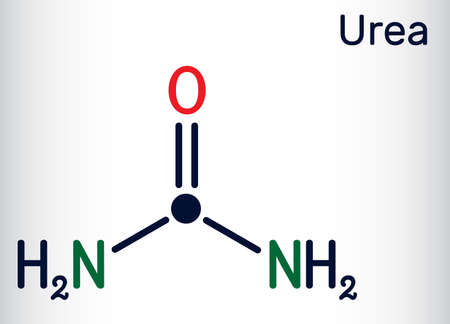 Urea, carbamide molecule. It is a nitrogenous compound containing a carbonyl group, is used as fertilizer, in cosmetics. Skeletal chemical formula. Vector illustrationのイラスト素材