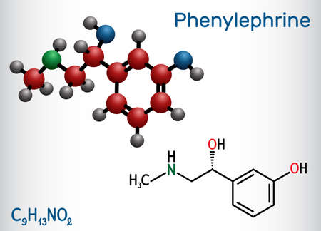 Phenylephrine molecule. It is nasal decongestant with potent vasoconstrictor property. Structural chemical formula and molecule model. Vector illustrationの素材 [FY310155637032]