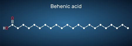 Behenic acid, molecule. It is docosanoic acid, straight-chain, long-chain saturated fatty acid Skeletal chemical formula on the dark blue background. Vector illustrationのイラスト素材