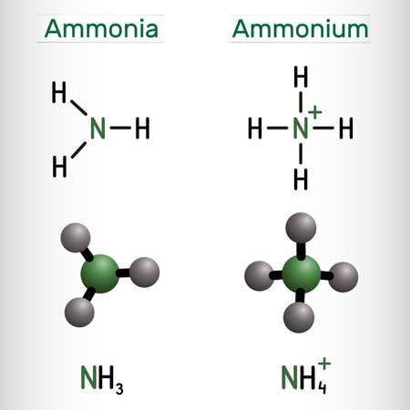 Ammonium cation, NH4 and ammonia, NH3 molecule. Structural chemical formula and molecule model. vector illustrationのイラスト素材