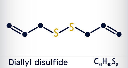 Dialyl disulfide, DADS molecule. It is an organic disulfide, found in garlic and other species of the genus Allium. Skeletal chemical formula. vector illustrationのイラスト素材