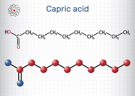 Capric acid, decanoic acid or decylic acid molecule. It is saturated fatty acid. Structural chemical formula, molecule model. Sheet of paper in a cage. Vector illustrationのイラスト素材