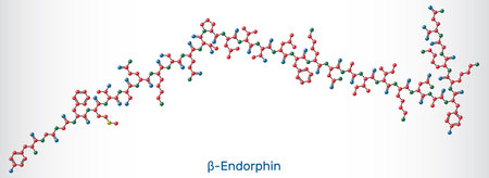 Beta endorphin molecule model. Endogenous opioid neuropeptide and peptide hormone. Sheet of paper in a cage. Vector illustrationのイラスト素材