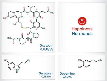 Happiness hormones. Vector illustrationのイラスト素材