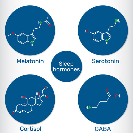 Sleep hormone molecule. Structure and function of melatonin, serotonin, GABA (gamma-aminobutyric acid), and cortisol. Vector illustrationのイラスト素材