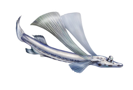 four-eye deep-sea fish, monsters of the ocean depths, isolated realistic image on a white background