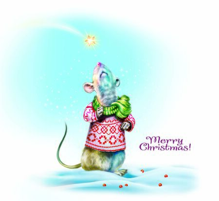 funny rat looks on a falling star on Christmas night, Merry Christmas and Happy New Year greeting cardの写真素材