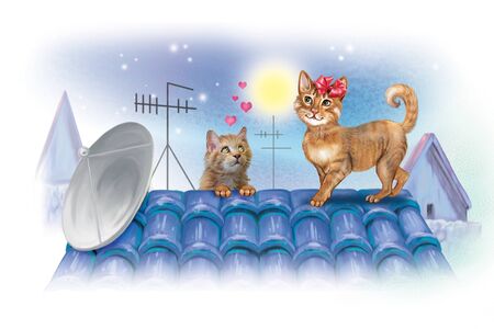 cats in love on the roof, against the background of the full moon, night starry sky
の写真素材