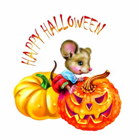funny little mouse with pumpkins, greeting card with Halloween, cartoon animals isolated on white backgroundの写真素材