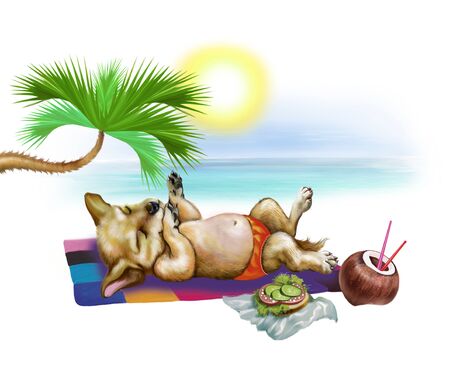 puppy sunbathes on the beach under a palm tree, the dog is swinging on the sand, a cute funny animal, an isolated character on a white backgroundの写真素材
